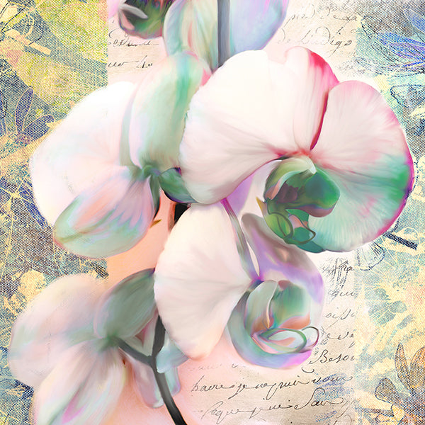 Kaleidoscope Orchid (detail)