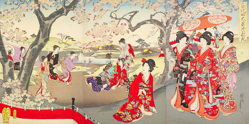 A Hanami at the Edo Castle