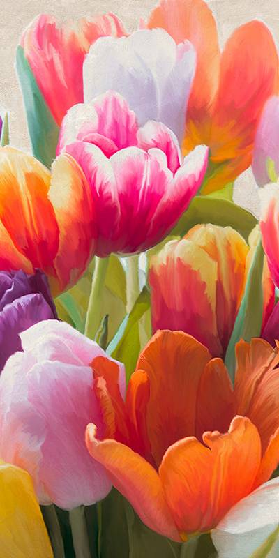 Spring Tulips II