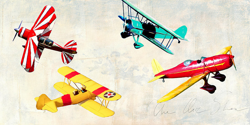 The Air Show