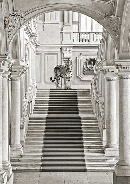 Luxurious Wilderness II