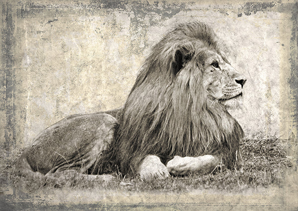 Memories of Africa I