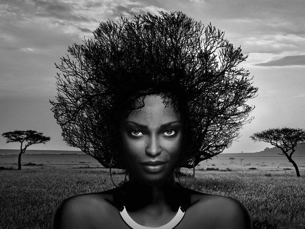Serengeti Queen