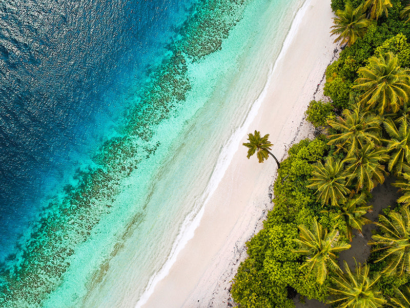 Tropical Beach, Aerial View