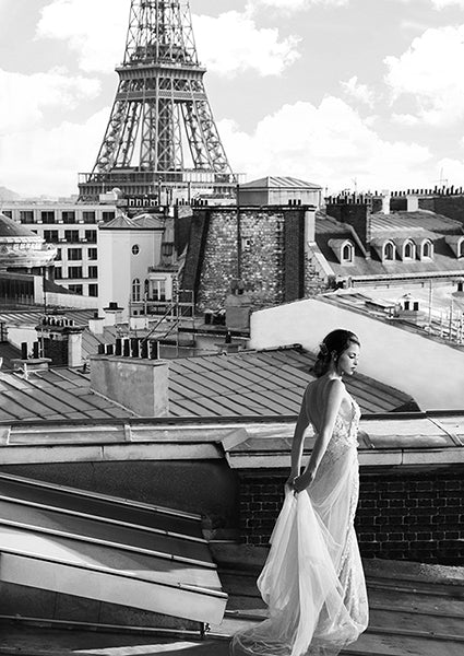 On the roofs in Paris