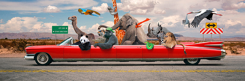 Road Trip