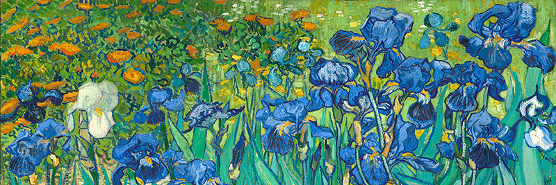 Irises (detail)