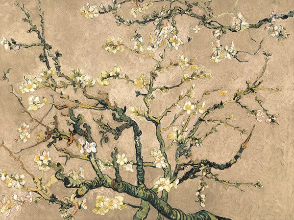 Mandorlo in fiore (Variante beige) di Vincent Van Gogh