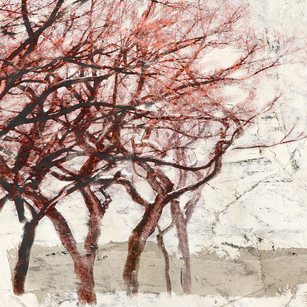 Rusty Trees I