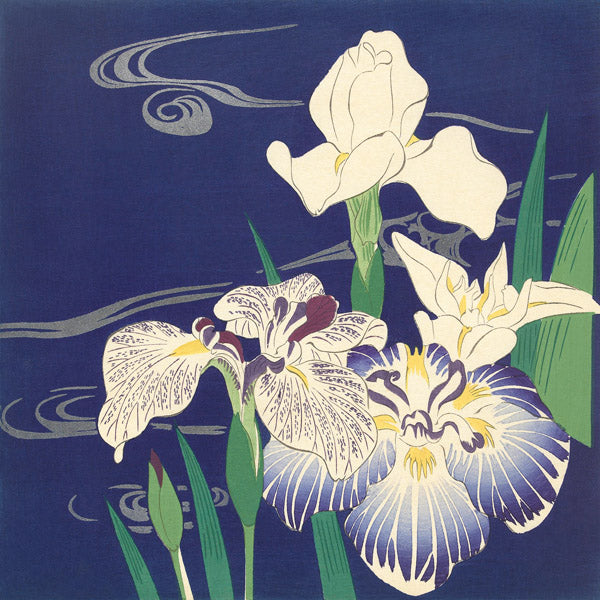 Irises on the Water