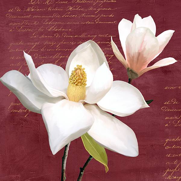 Burgundy Magnolia I