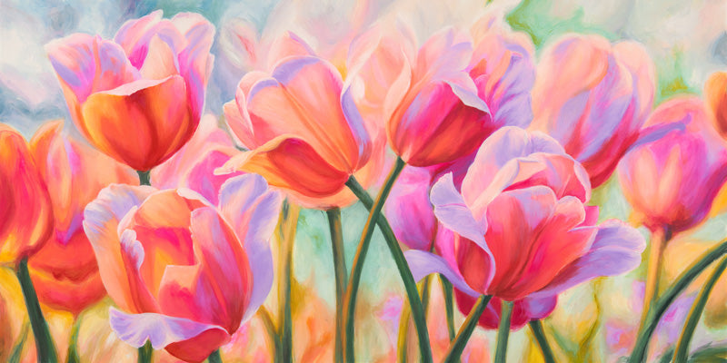 Tulips in Wonderland