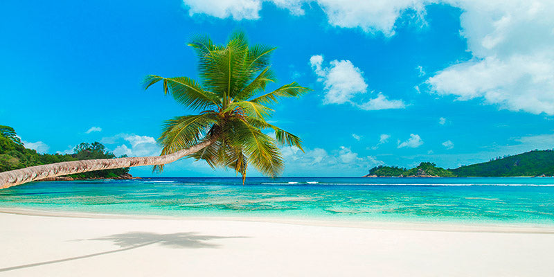 Tropical beach, Seychelles