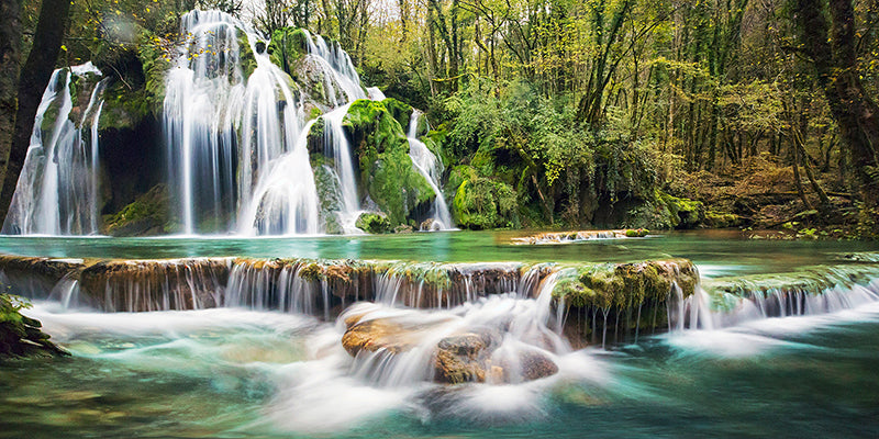 Waterfall in a forest