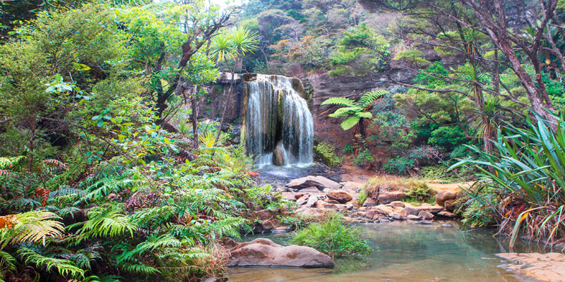 Rainforest waterfall