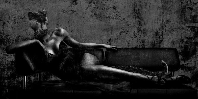 Dark Lady