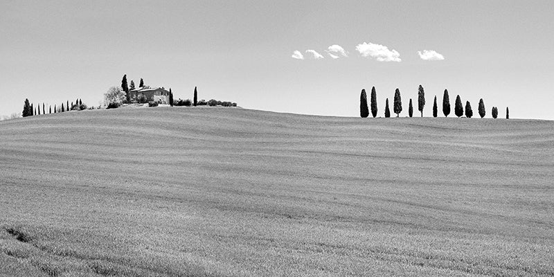 Strada del Brunello, Tuscany (BW)