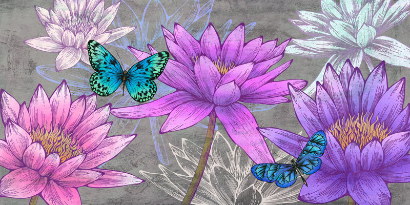 Nympheas and Butterflies (Ash)