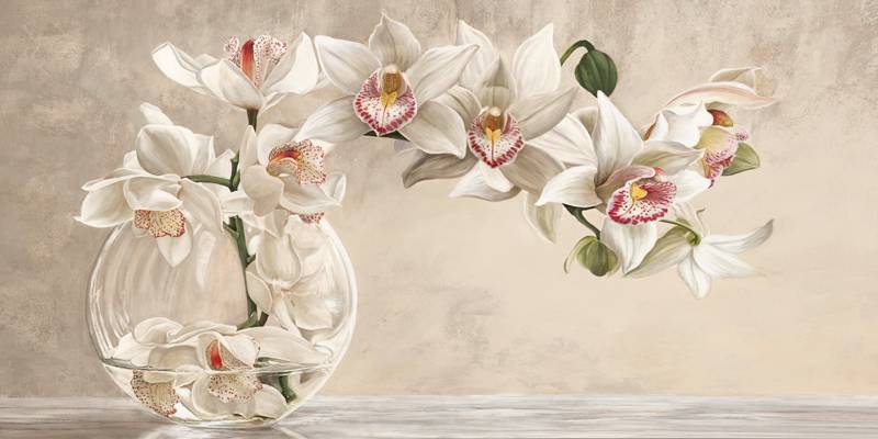 Orchid Arrangement I