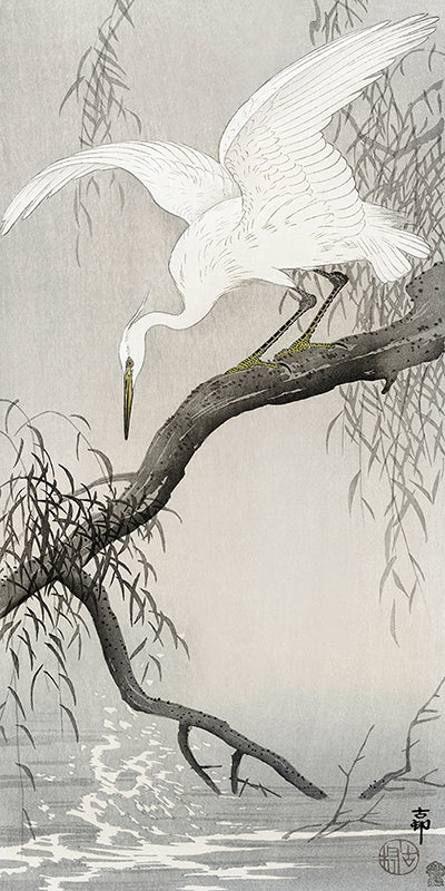 White heron on tree branch