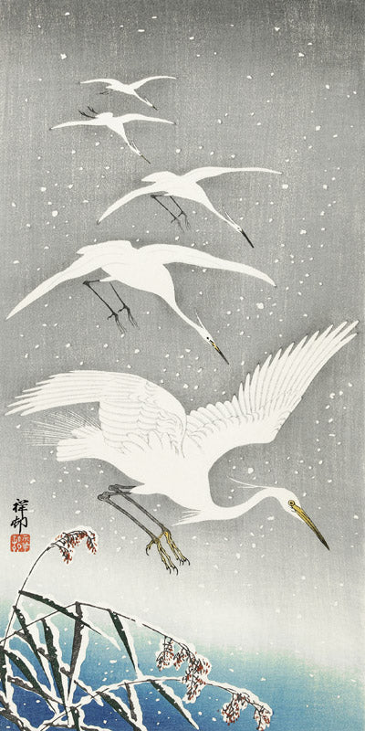 Descending egrets in snow