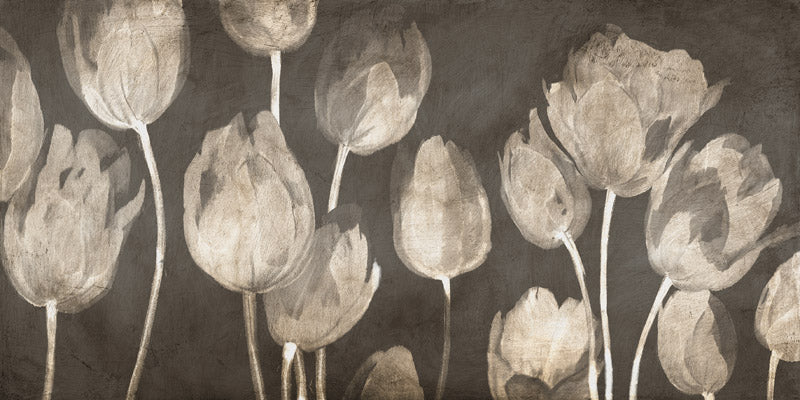Washed Tulips