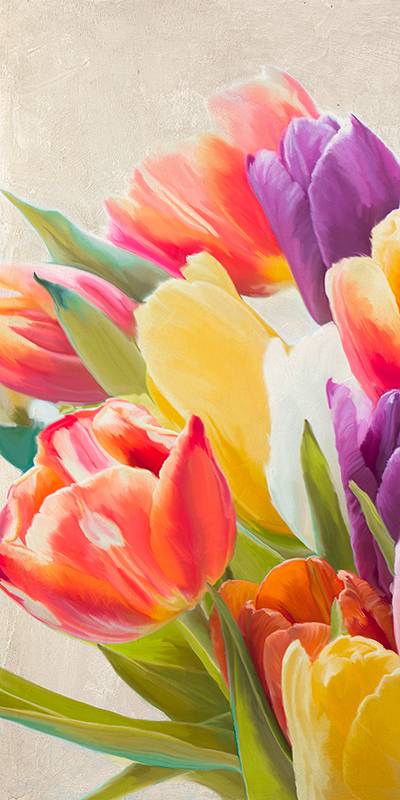 Spring Tulips I