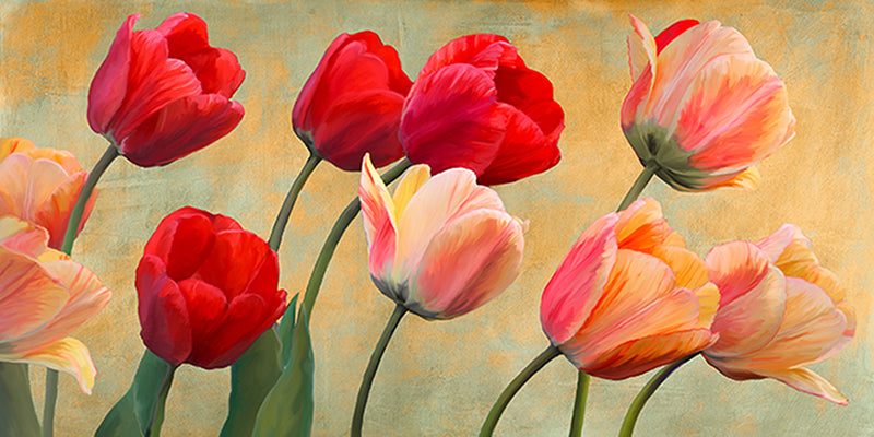 Golden Tulips