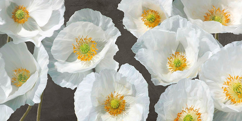 Poppy Arrangement (Chalkboard)
