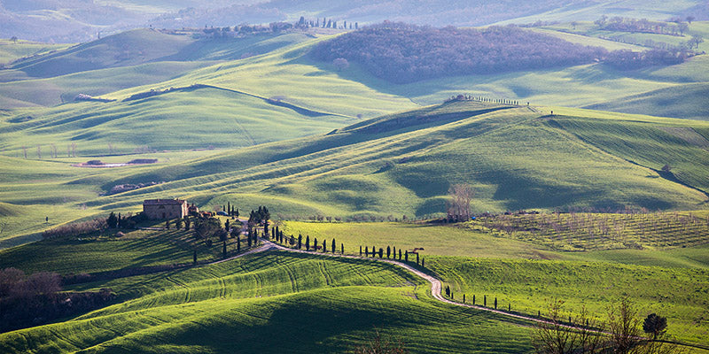 A road in Tuscany