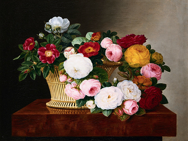 Still Life of Roses