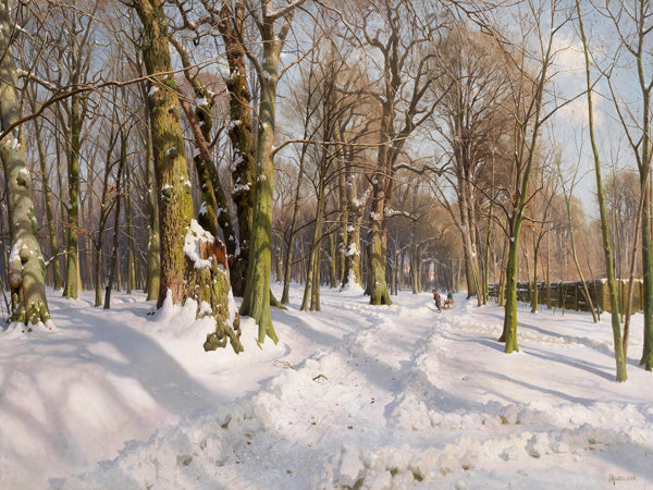 Snowy forest road in sunlight