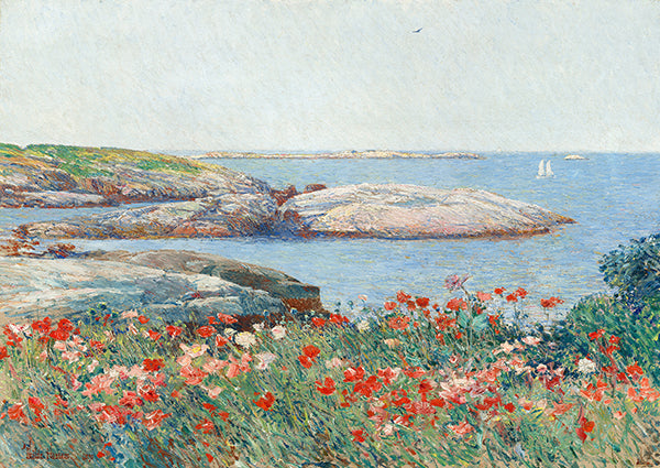 Poppies, Isles of Shoals