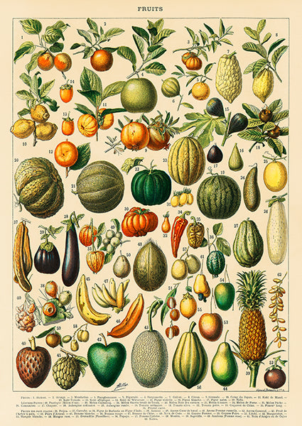 Fruits and Vegetables