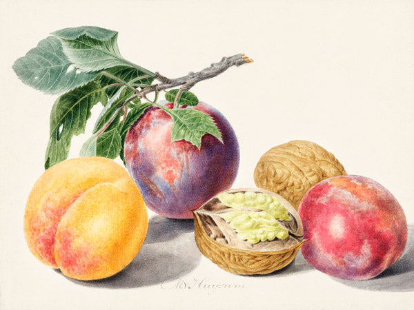 Fruits I