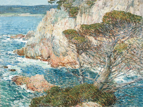 Point Lobos, Carmel