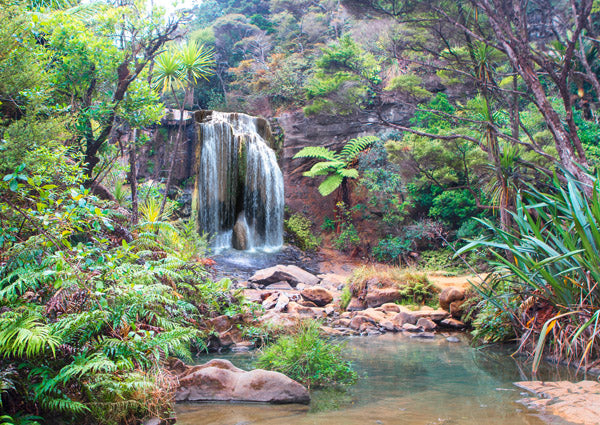 Rainforest waterfall (detail)