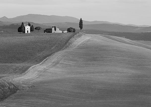 Val d'Orcia, Siena, Tuscany (BW)