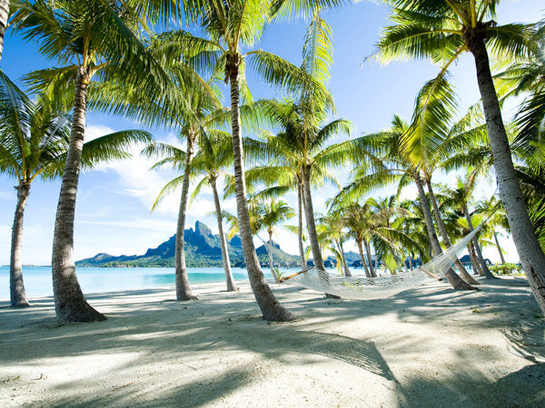 Hammock at Bora Bora, Tahiti