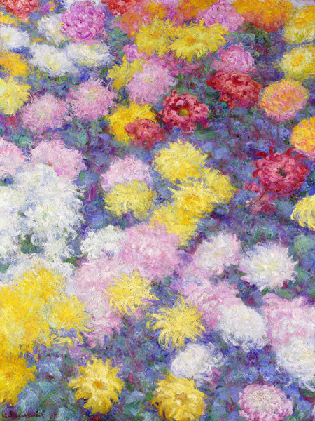 Chrysanthemums