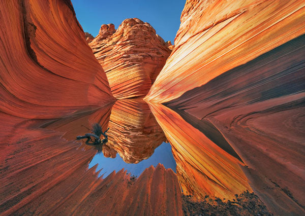 The Wave in Vermillion Cliffs, Arizona