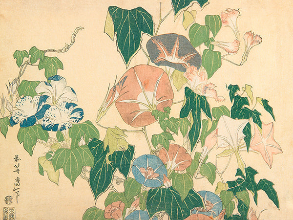 Morning Glories and Tree Frog, 1833-1834