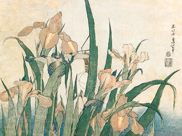 Irises and Grasshopper, 1833-1834