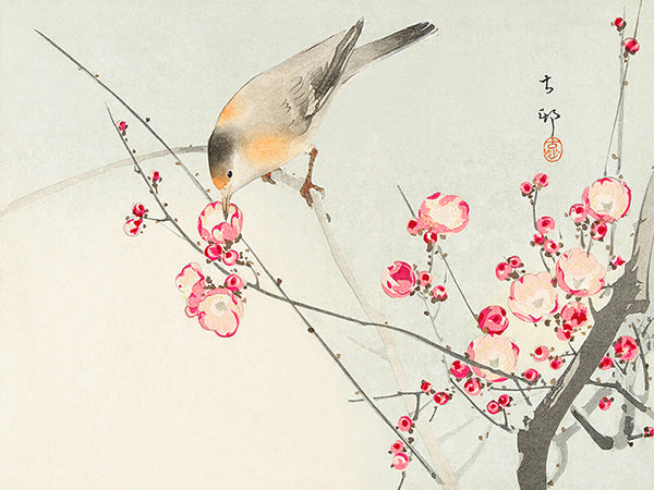 Songbird on blossom Branch