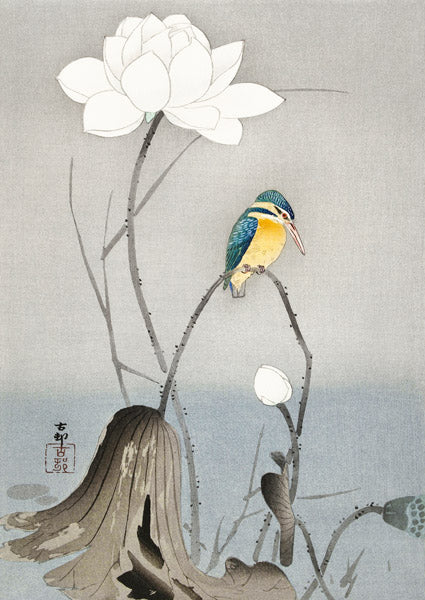 Kingfisher with Lotus Flower