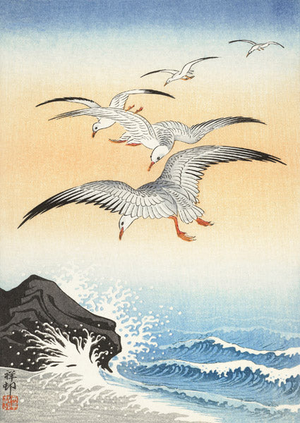 Five seagulls above turbulent sea