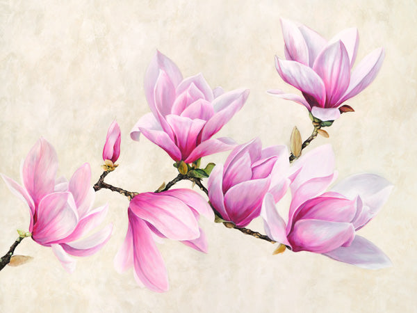 Ramo di magnolia