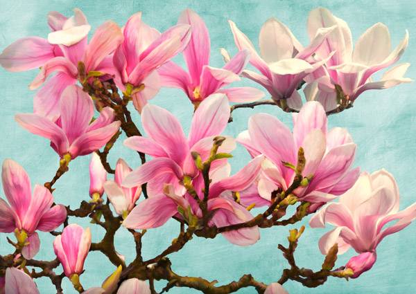 Magnolia Branch (turquoise)