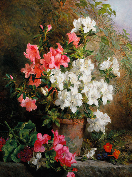 Still Life of Azaleas