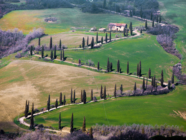 Road near Montepulciano, Tuscany